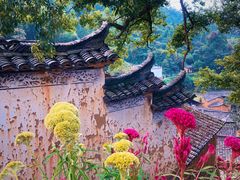 -杨家堂村