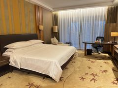 -杭州西溪喜来登度假大酒店
