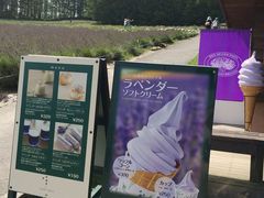 -富田农场