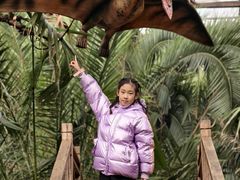 -呀路古热带植物园