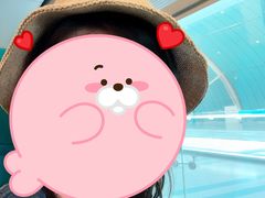 -龙阳路磁悬浮列车总站-停车场