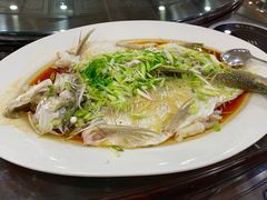 清蒸禾顺鱼-万年酒楼(越秀南路店)