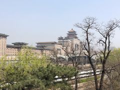 -莲花池公园