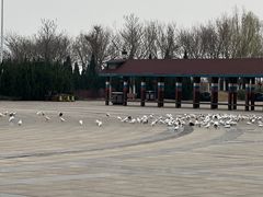 -泰达航母主题公园