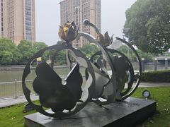 -陈家山荷花公园