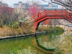 -洛阳市隋唐城遗址植物园