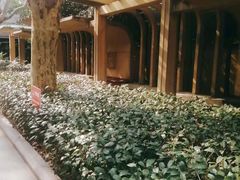 -徐家汇源景区-衡山公园