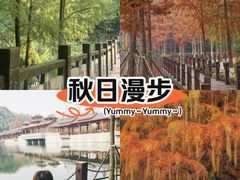 -重庆彩云湖湿地公园