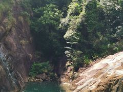 -广州白江湖森林公园