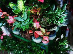 -三旗百汇商品城