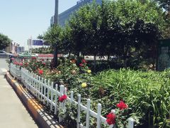 -邯郸东站