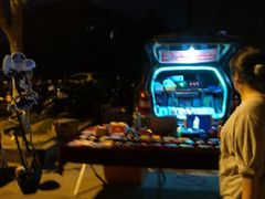 -泰州凤城河风景区-泰山公园