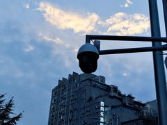 -尊宝比萨(科华店)