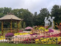 -上海共青森林公园