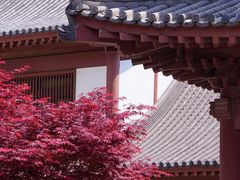 -横山寺