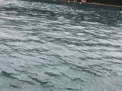 -柳浪游泳场