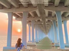 -宝安西湾红树林湿地公园