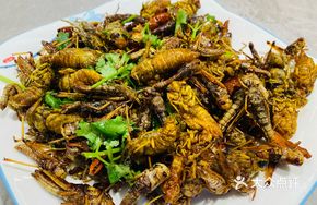 Golden Cicada Platter
