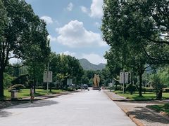 -浙江越秀外国语学院