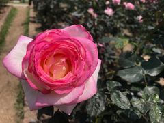 -人民公园(罗湖区)