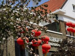 -天津五大道文化旅游区