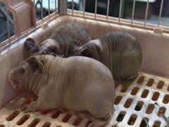 -南宁国际会展中心