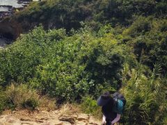 -西涌国际滨海旅游区