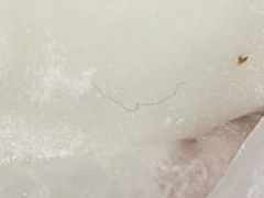 -桃乐满山(川沙百联店)