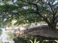 -晓港公园