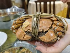 -溱湖八鲜菜馆