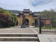 -树山生态村