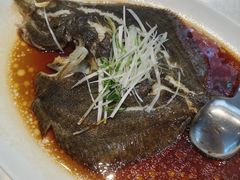 清蒸多宝鱼-港湾宴会厅(京基百纳店)