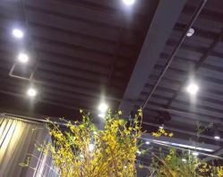 -大象造型