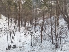 -香山公园