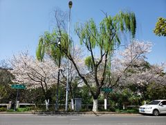 -百花洲