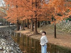 -白水寺森林公园