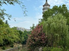 -徽园