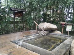 -观唐（国际）度假村温泉
