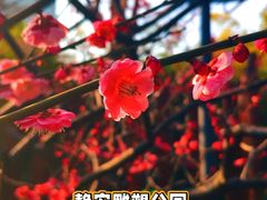 -静安雕塑公园