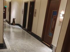 -华夏良子·足道SPA艾灸(铁道大厦店)