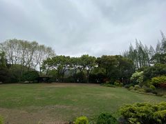 -上海醉白池公园