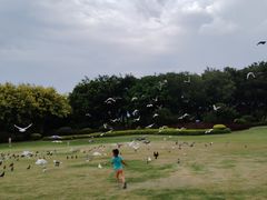 -白鹭洲公园