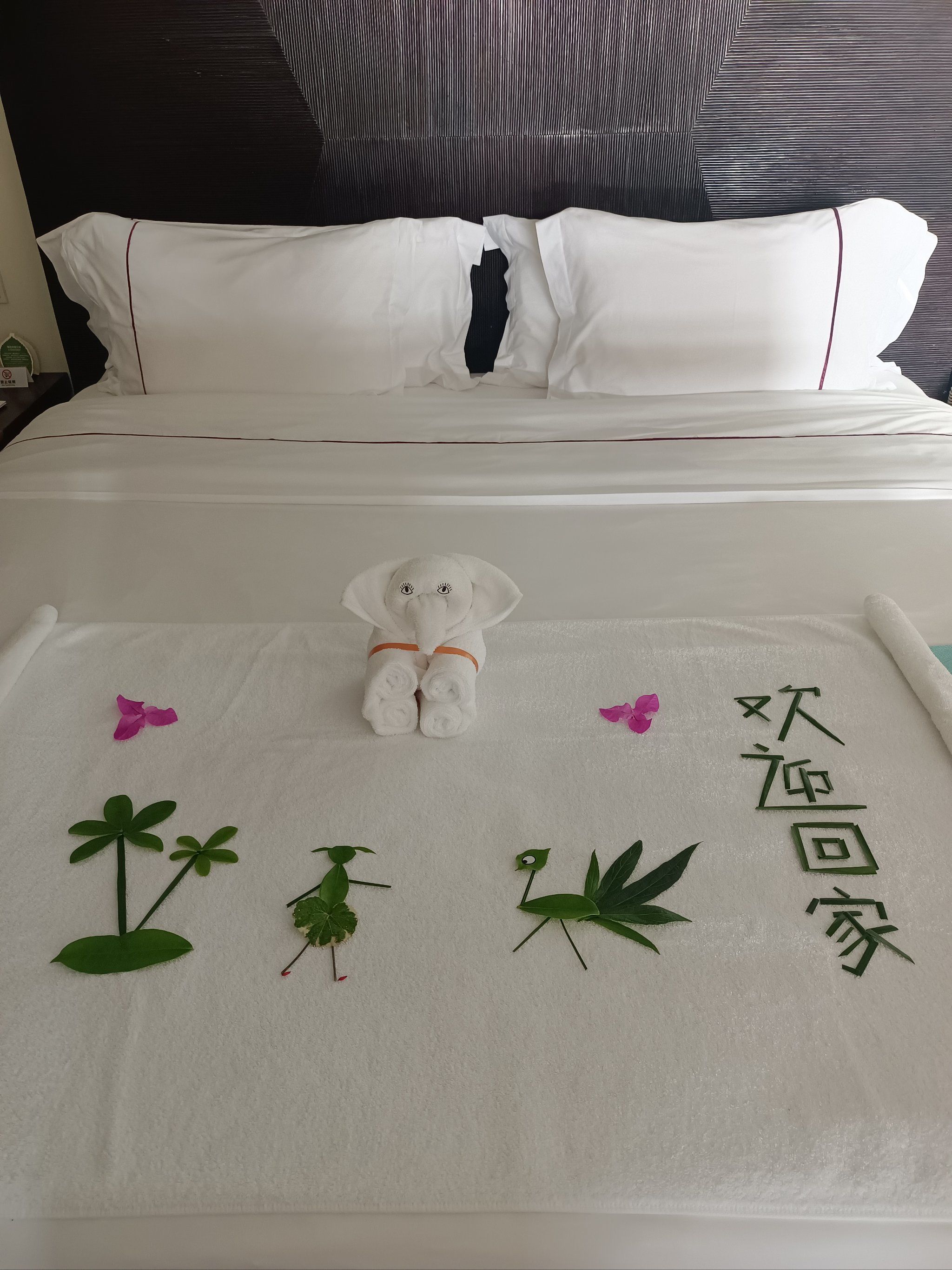 找到了心仪的主题酒店