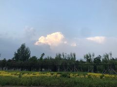 -莫子山公园