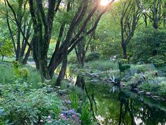 -上海共青森林公园