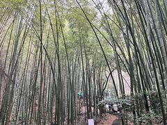 -敬亭山风景名胜区