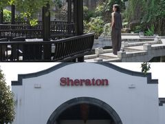 -杭州西溪喜来登度假大酒店