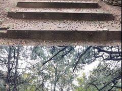 -北京鹫峰国家森林公园