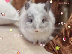 -龙猫仔乐园(惠福东路店)