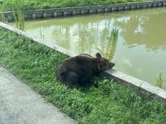 -上海野生动物园